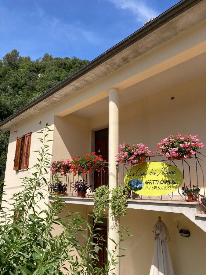 La Casa Dei Nonni Hotell Torre Orsina Exteriör bild
