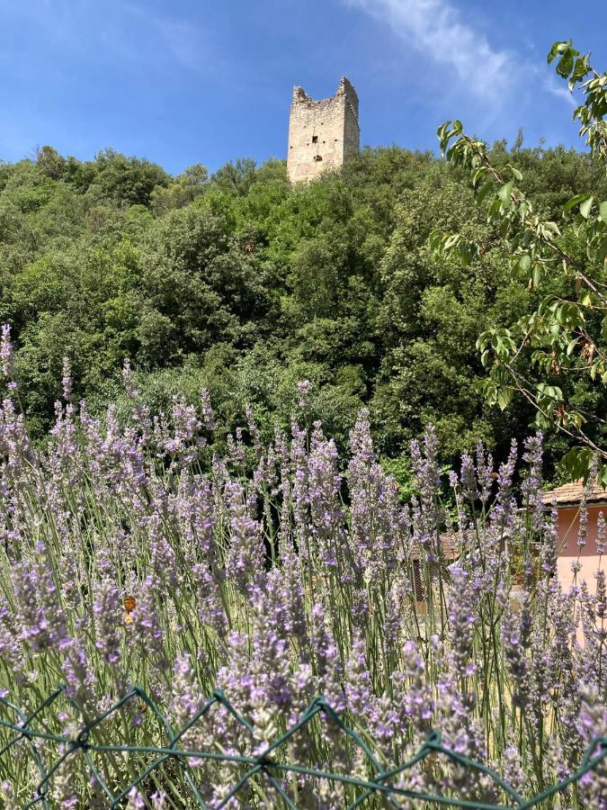 La Casa Dei Nonni Hotell Torre Orsina Exteriör bild